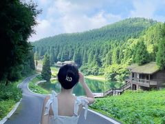 -武陵山森林公园