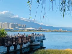 -洱海月湿地公园