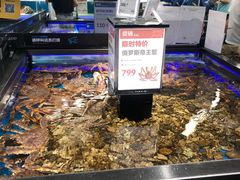 水产区-盒马鲜生(岭南新世界店)