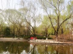 -玲珑塔公园