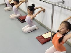-中央芭蕾舞团·中芭艺蕾(酒仙桥明星校区)