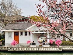 -无锡梅园公园