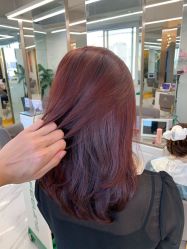 -潘多拉Hairsalon