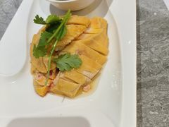 -老绍兴养和饭店(向阳不夜城店)