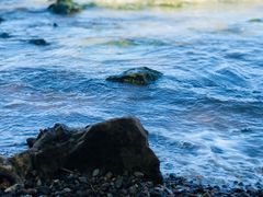 -捞渔河湿地公园