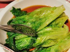 葱油罗马生菜-西贝(苏州绿宝广场店)