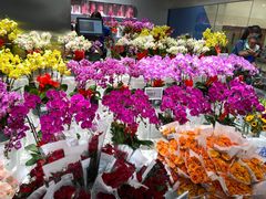 -盒马X会员店(王府井奥莱UP TOWN店)