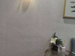 -薇薇安花系SPA