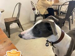 -21G Espresso(吉珠南门店)