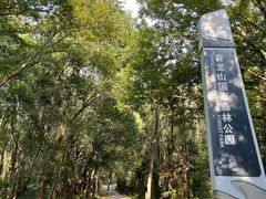 -青龙山国家森林公园