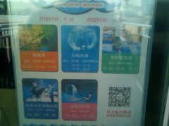 -芜湖新华联大白鲸海洋公园