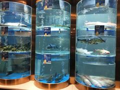 -香坝坝鲜鱼火锅(春熙路店)