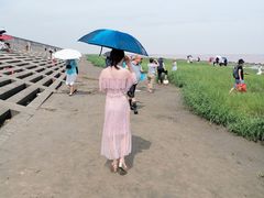 -南汇新城海滩