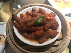 -南枝记
