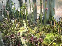 -国家植物园南园