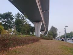 -宝安西湾红树林湿地公园