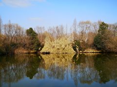 -溱湖国家湿地公园