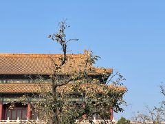 -故宫博物院(故宫)