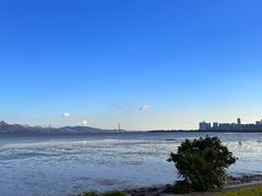 -深圳湾公园(南山区)