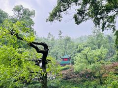 -岳麓山风景名胜区