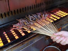 -晓靖轩烧烤(沙河风情店)