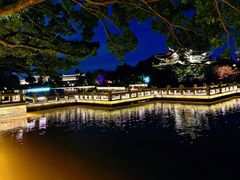 -江心屿景区