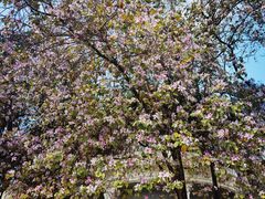 -北海市海滨公园