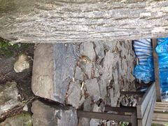 iphone_upload_pic-帽儿山风景区