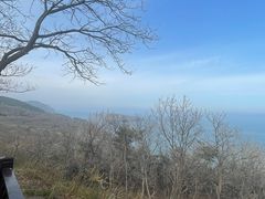 -棒棰岛宾馆景区