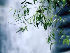 -黑龙潭风景区