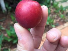 -云南艺术学院(呈贡校区)