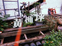 -黄桷坪涂鸦艺术街