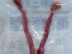 -伟伟宠物医院·CT影像中心·瑞派犬猫综合性门诊(汉口总院)