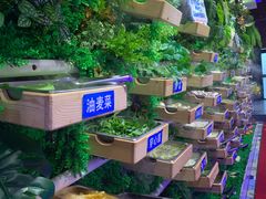 -壹号街海鲜自助火锅(长宁路店)