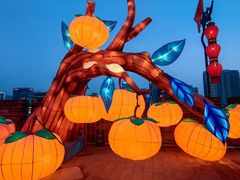 -西安城墙·碑林历史文化景区