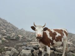 -灵山