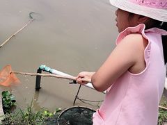 -南汇老顾农家乐采摘大团水蜜桃采摘店