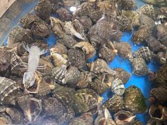 -鑫渔港海鲜本地菜·山海关浑锅(东戴河店)
