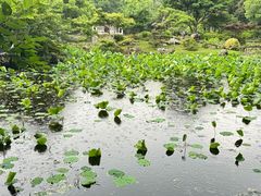-杭州植物园