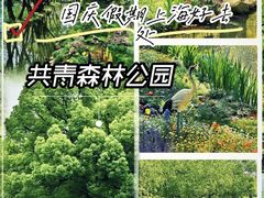 -上海共青森林公园