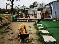 -趣多多宠物公园·宠物训犬学校·宠物寄养