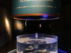 -西海国立公园九十九岛水族馆