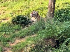-杭州野生动物世界