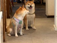 -三目仓咖啡(贤南路店)