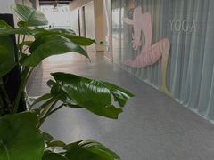 -天行健身＆天行拳馆跆拳道·格斗TXGYM