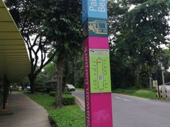 -巴拉湾海滩