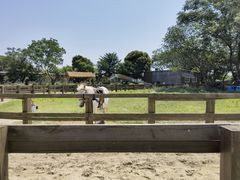 -苏州太湖西山岛开心农场