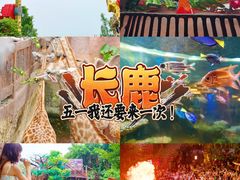 -长鹿旅游休博园