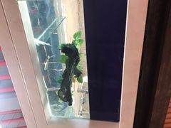 -鑫旺旺汤包(总店)