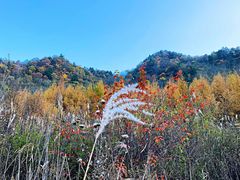 -秦岭风景区